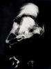 Totentanz