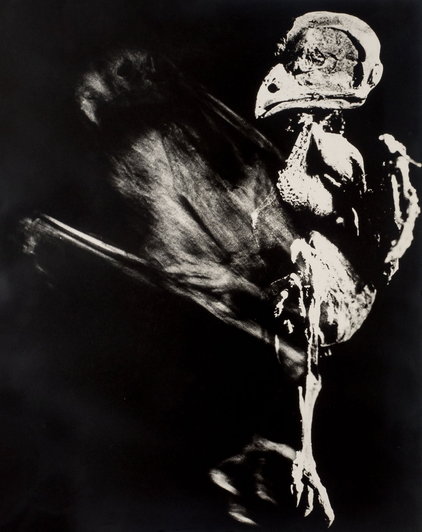 Dance of death