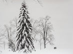 Winter im Lindenhofpark