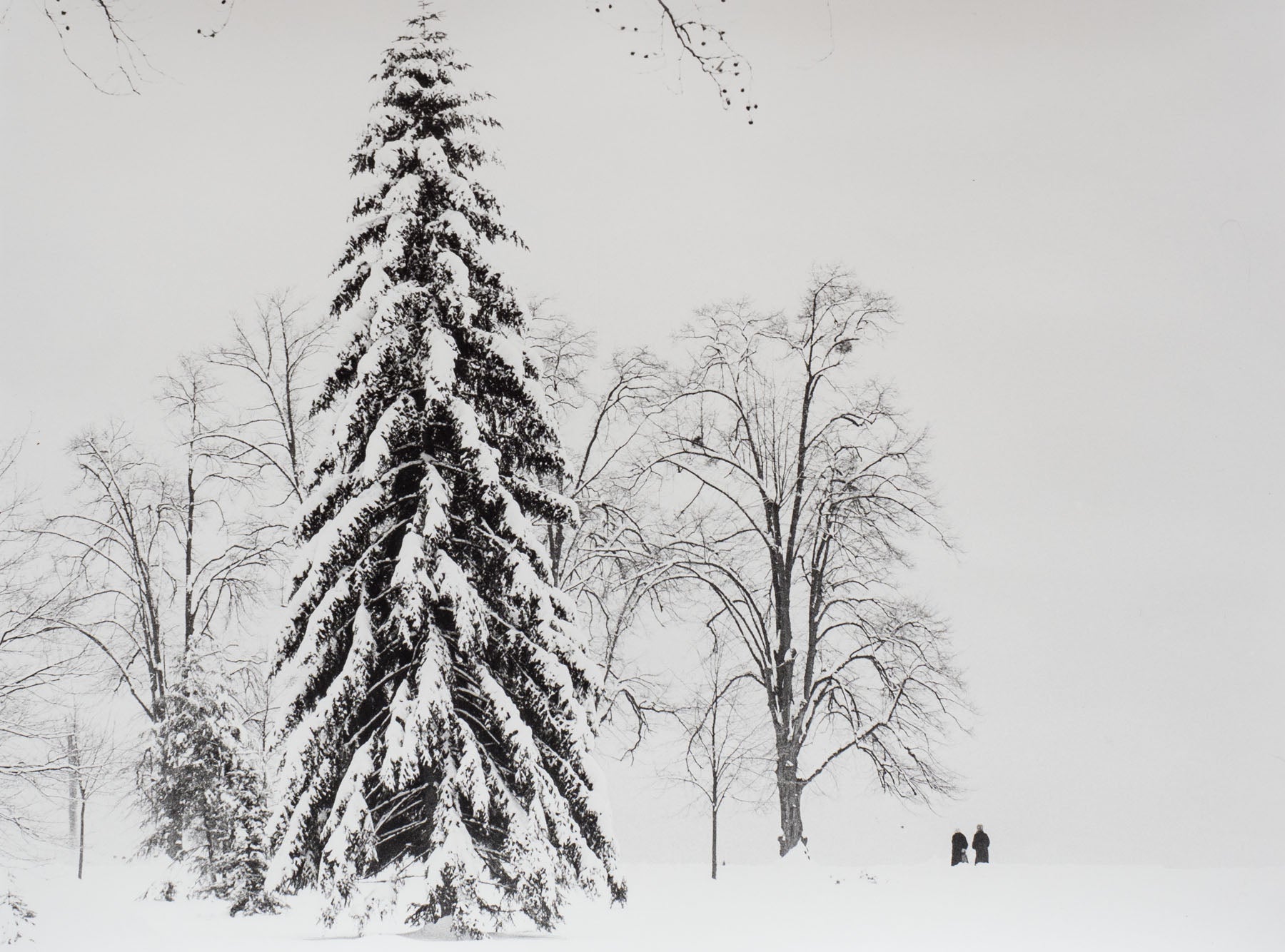 Winter im Lindenhofpark