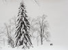 Winter im Lindenhofpark