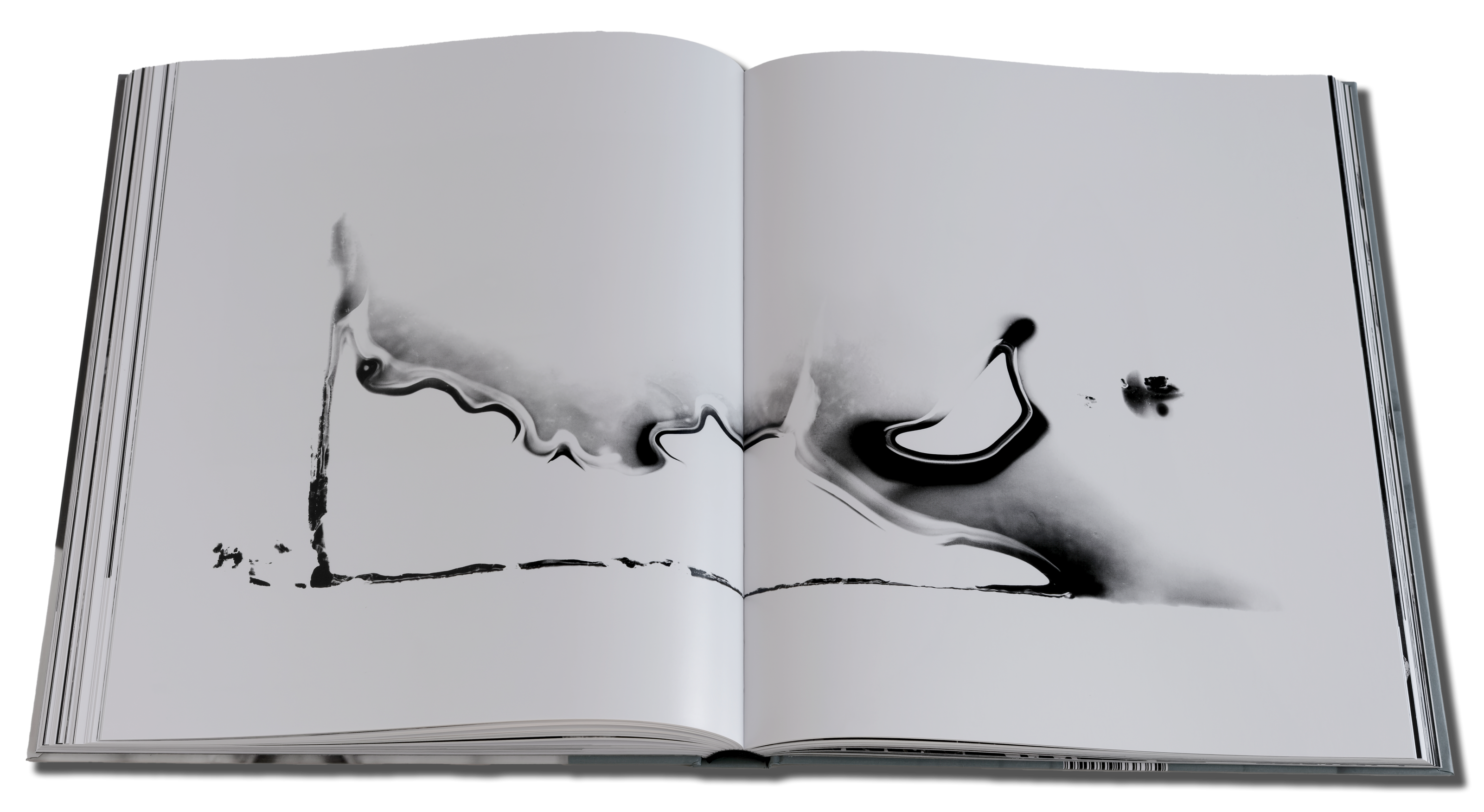16 Degrees Pisces. Photographs 1958–2026
