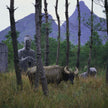 Grove with tombs of the Jinjiang kings near Guilin