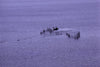 Fishing boat and fishing nets on Lake Taihu near Wuxi