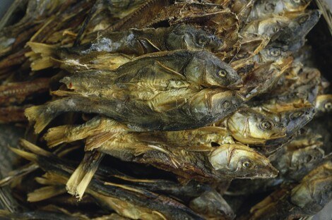 Getrocknete Fische aus der Serie Chinesische Esskultur / Reinhart Wolf