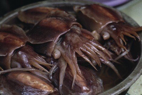 Tintenfisch aus Guangzhou aus der Serie Chinesische Esskultur / Reinhart Wolf